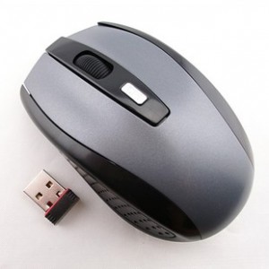 Application-mouse